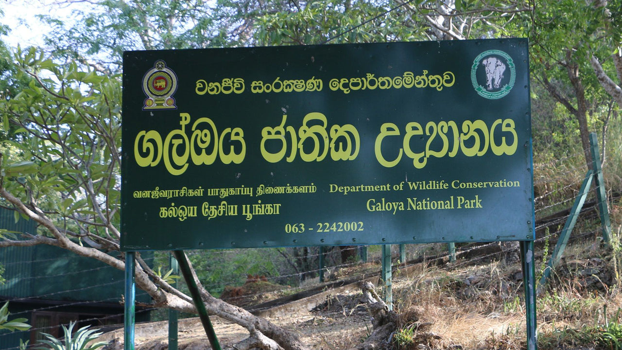 Gal Oya National Park Entrébilletter