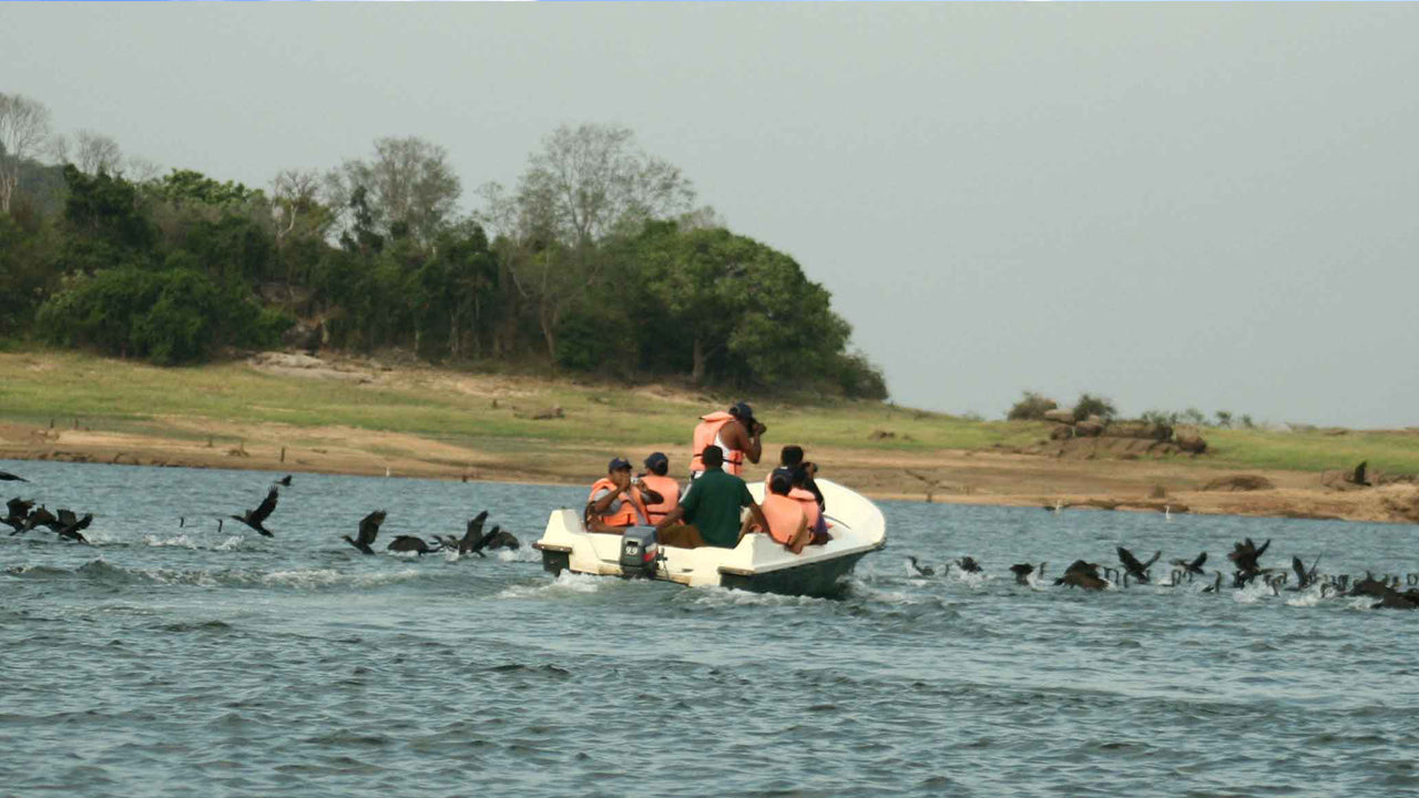 Gal Oya National Park Entrébilletter