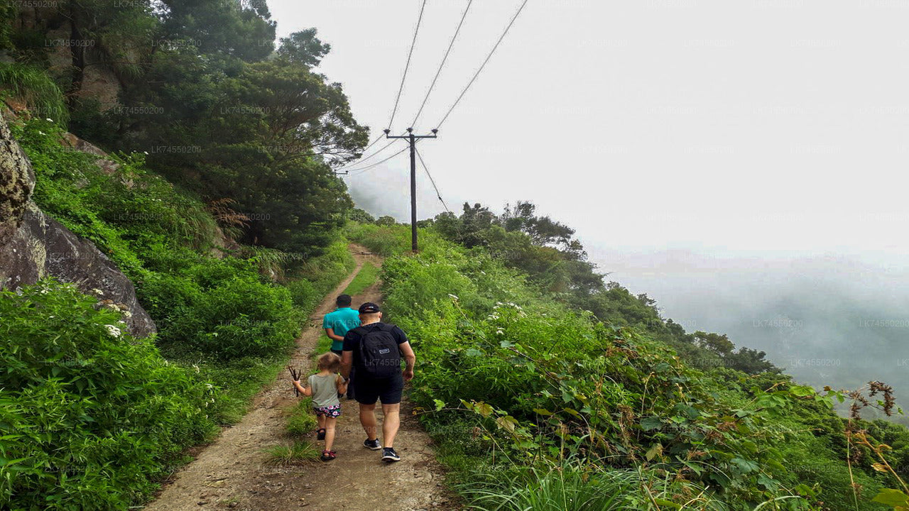 Devil's Staircase Hike from Ohiya