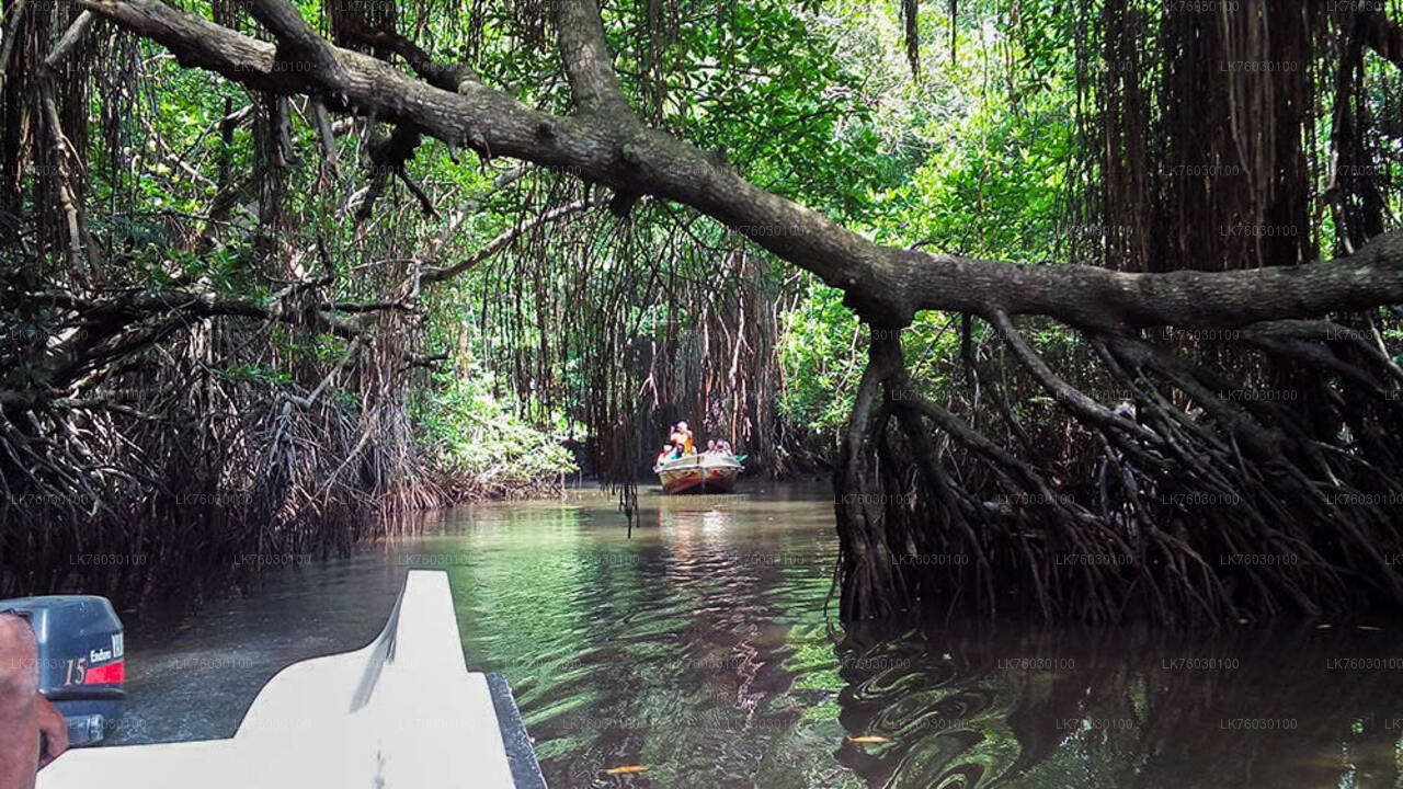 Madu River Boat Safari