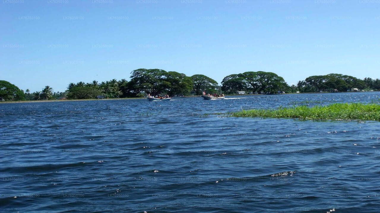 Bådtur ved Tissamaharama Lake