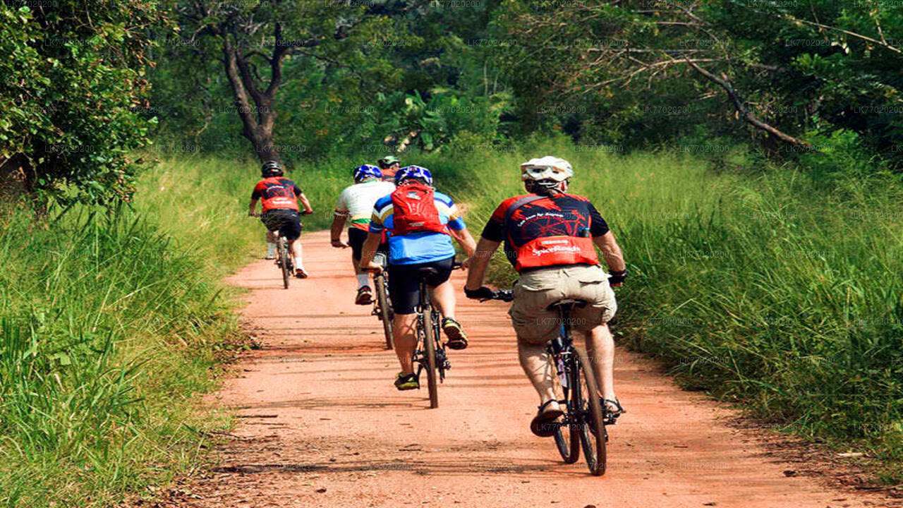 Balana Battlefield Cykeltur fra Kandy