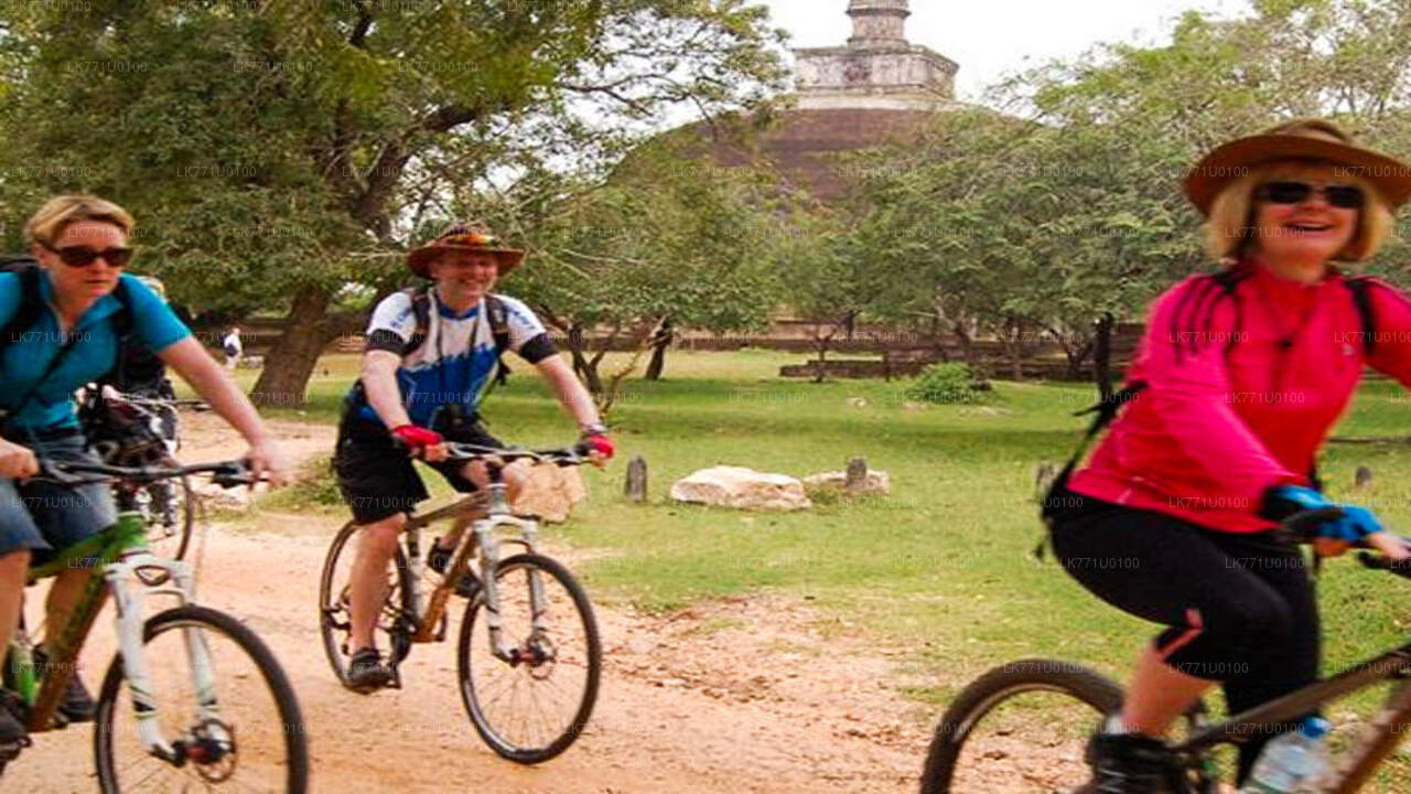Cykling gennem gamle ruiner fra Polonnaruwa