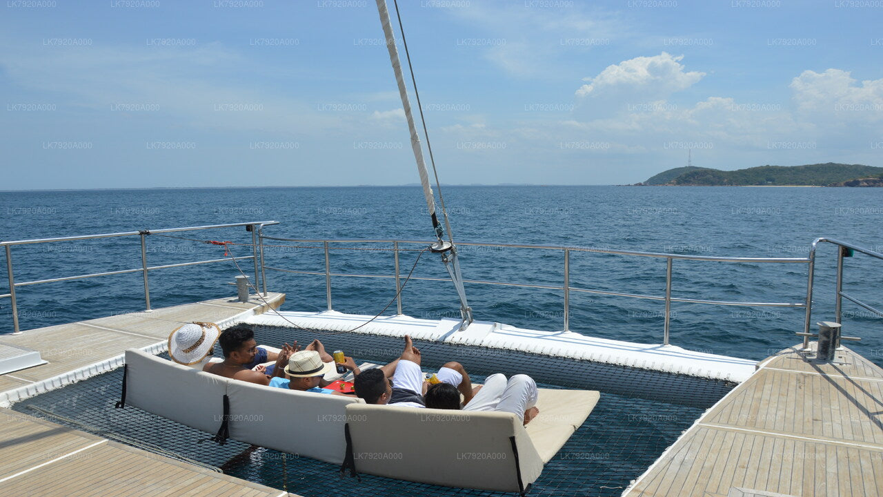 Sail  to Delft Island