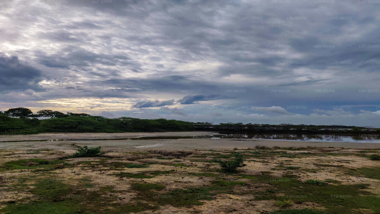 Bundala National Park Safari fra Hambantota havn