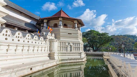 Kandy City Tour fra Colombo Havn