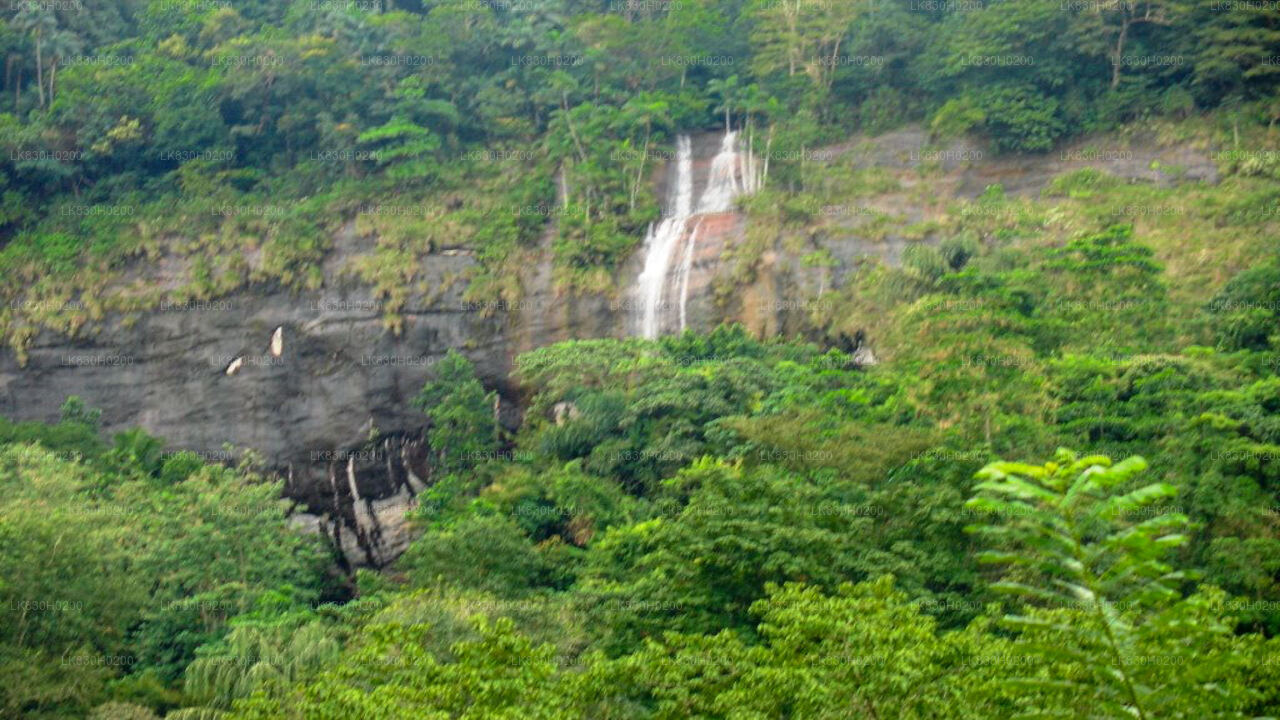 Gå på opdagelse i Belilena Cave fra Colombo