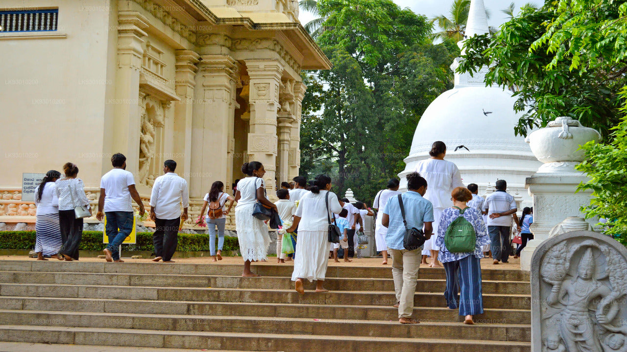 Colombo buddhistisk ikonografi oplevelse