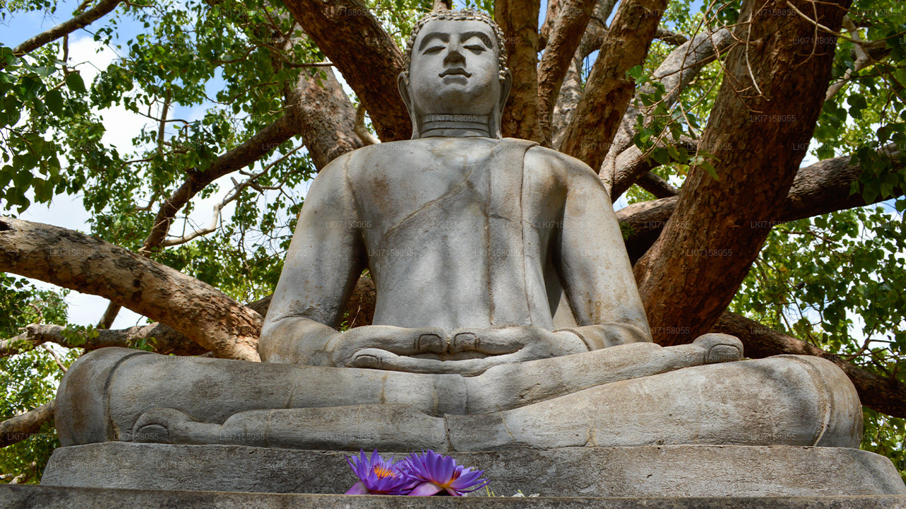 Åndelig oplevelse fra Anuradhapura