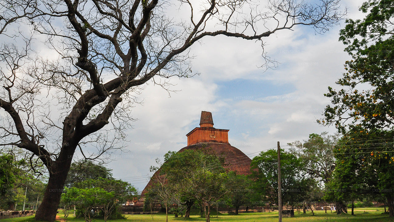 Åndelig oplevelse fra Anuradhapura