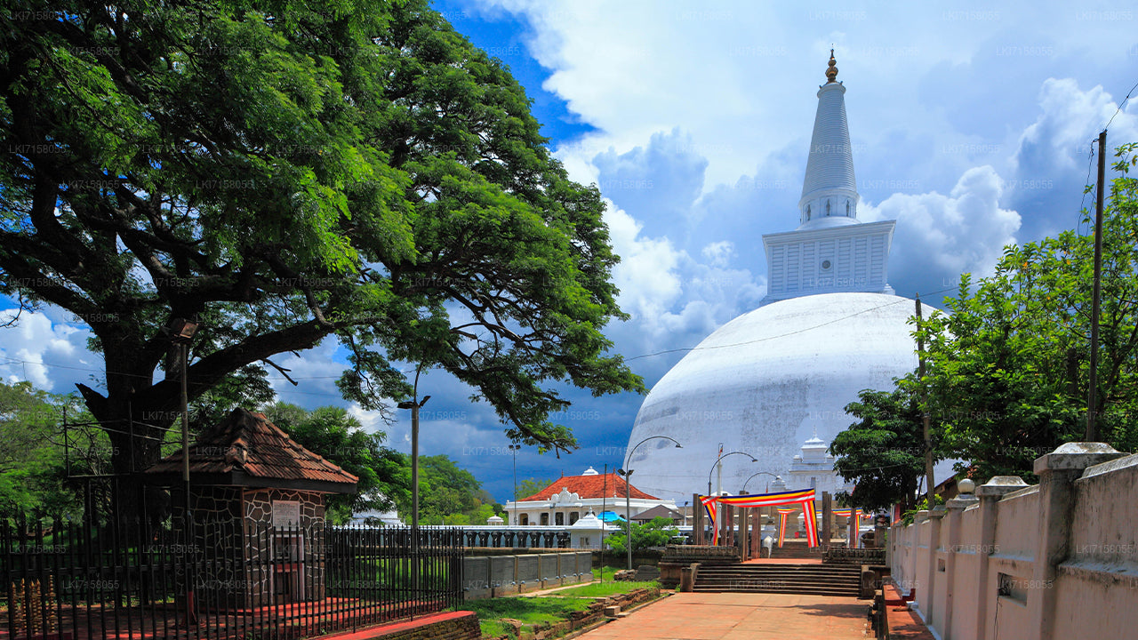 Åndelig oplevelse fra Anuradhapura