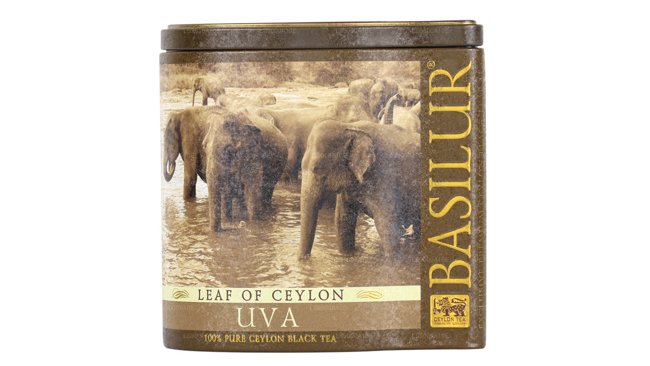 Basilur Blad af Ceylon „Uva“ (100 g) Caddy